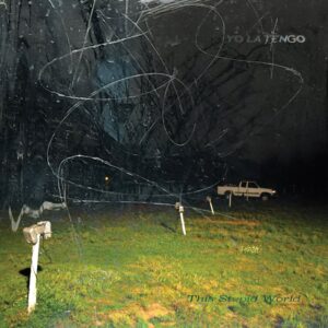 YO LA TENGO. THIS STUPID WORLD