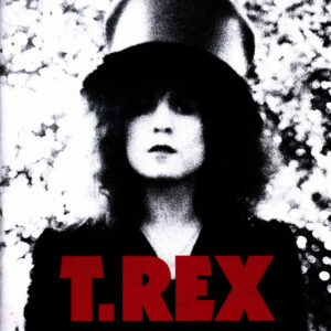 T.REX. SLIDER TRANSPARENTE