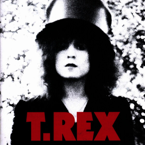 T.REX. SLIDER TRANSPARENTE