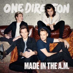 ONE DIRECTION. MADE IN THE AM