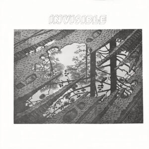 INVISIBLE. INVISIBLE