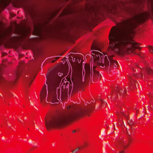 ARCADE FIRE. PINK ELEPHANT