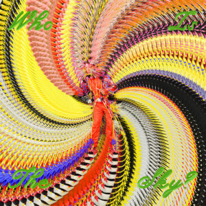 DAVID BYRNE WITH GHOST TRAIN ORCHESTRA. WHO IS THE SKY?