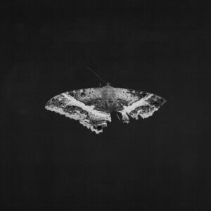 KENDRICK LAMAR. TO PIMP A BUTTERFLY (10TH ANNIVERSARY)