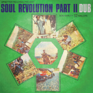 BOB MARLEY AND THE WAILERS. SOUL REVOLUTION PART II DUB