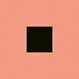 BON IVER. SABLE, FABLE