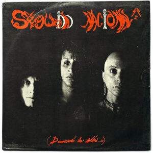 SEGURIDAD NACIONAL. DOCUMENTO DE ACTITUD