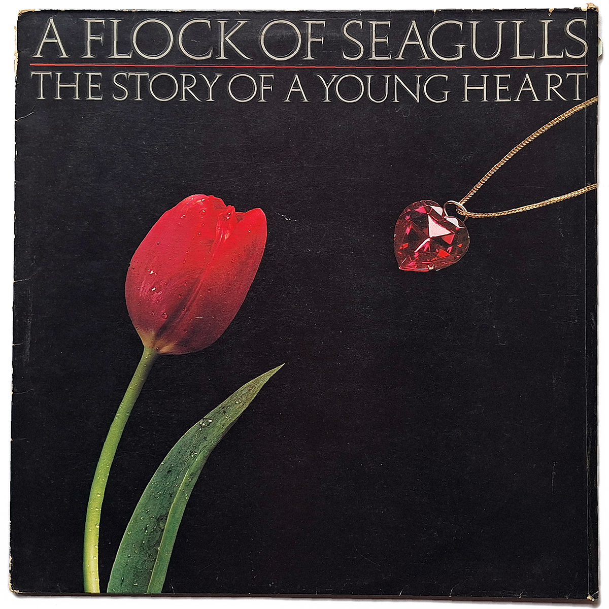 A FLOCK OF SEAGULLS. THE STORY OF A YOUNG HEART