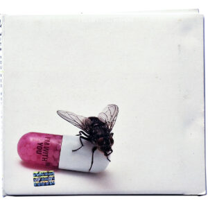 RED HOT CHILI PEPPERS. I'M WITH YOU
