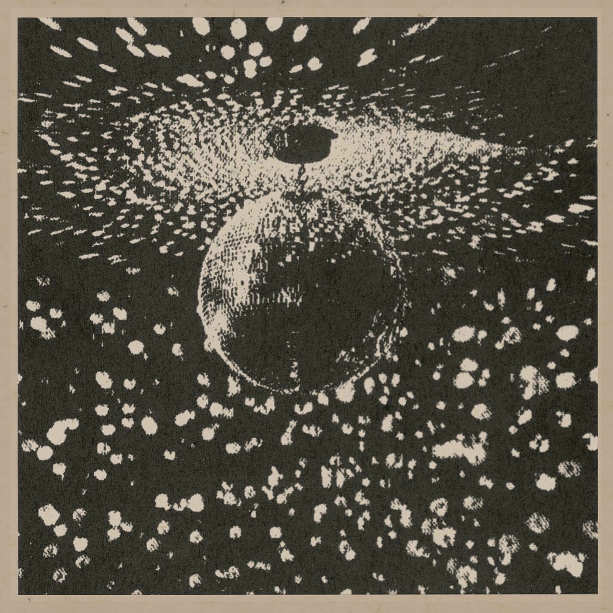 NEIL YOUNG. MIRROR BALL