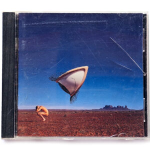 THE CRANBERRIES. BURY THE HATCHET